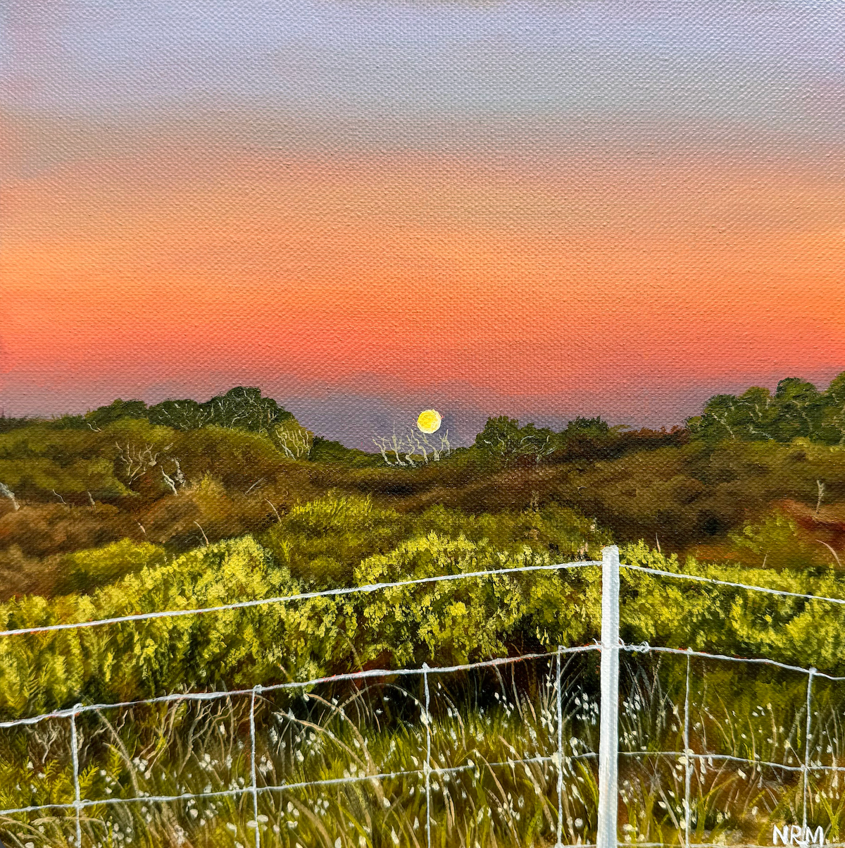 'Fool's Gold' Limited Edition Print